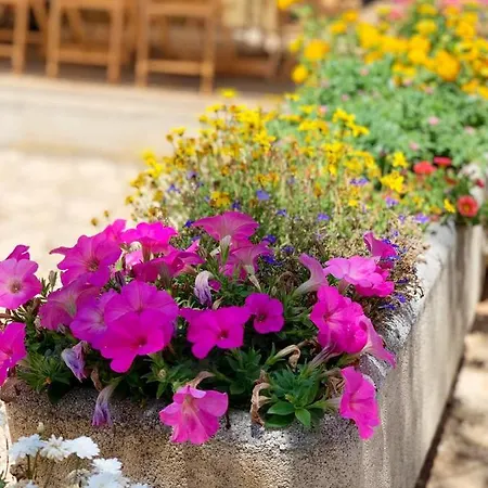 Chefincasa Home Restaurant בית נופש *